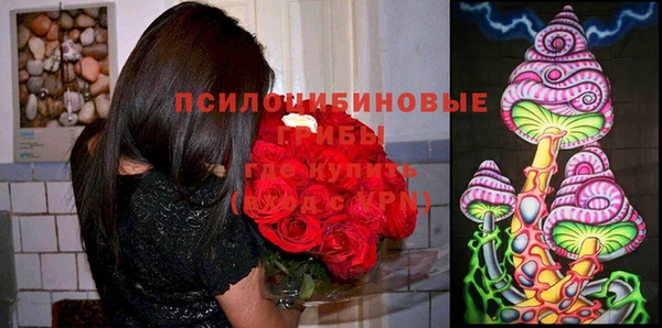 ешки Алзамай