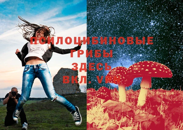 2c-b Алексеевка