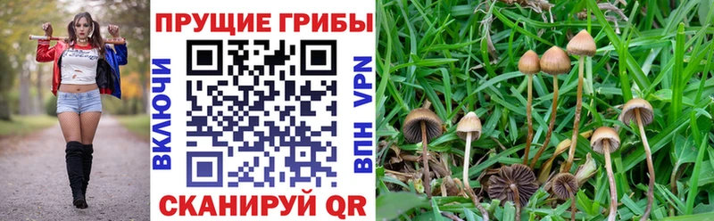 KRAKEN сайт  цена наркотик  Кондопога  Галлюциногенные грибы ЛСД 