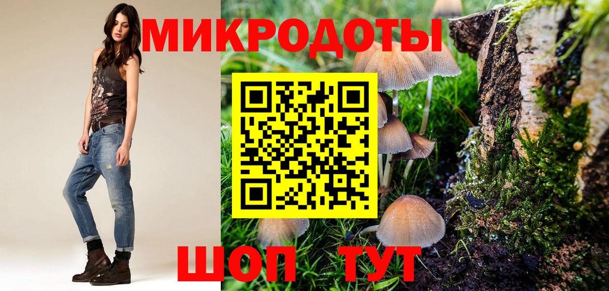 Галлюциногенные грибы Cubensis Кондопога