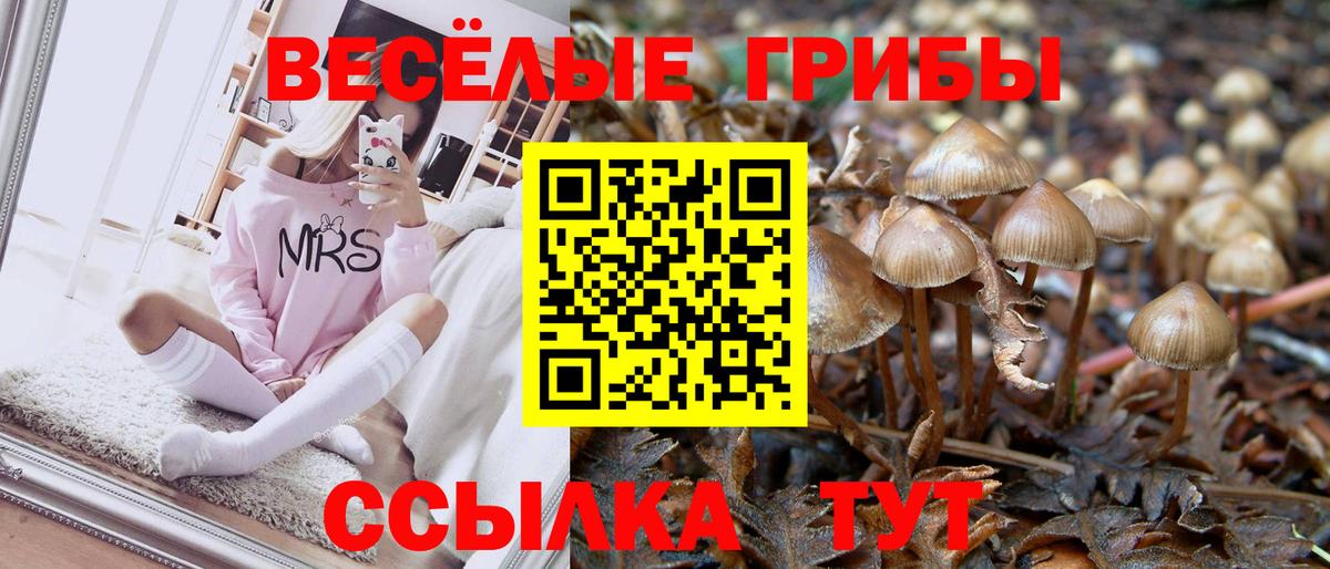 Кондопога  Псилоцибиновые грибы GOLDEN TEACHER  Вход с VPN  дарнет шоп  Псилоцибиновые грибы Magic Shrooms 