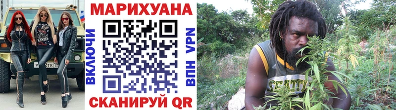 как найти наркотики  Кондопога  Каннабис индика 